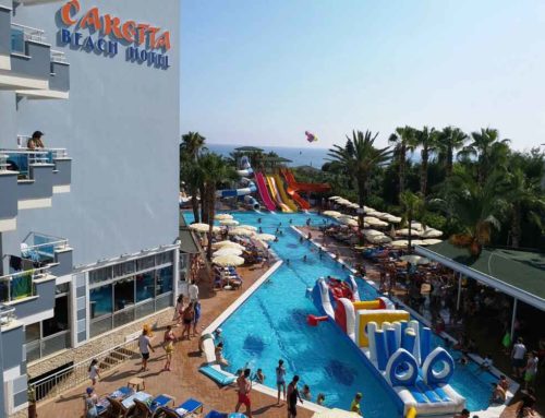 Caretta Beach Aktiviteler 17
