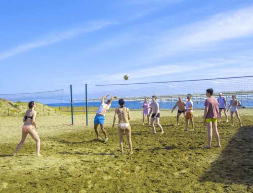 Caretta Beach Aktiviteler 18